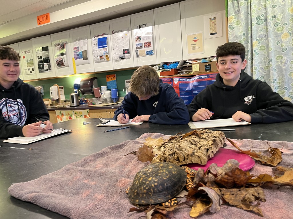 8th graders participating in a live draw session in art!