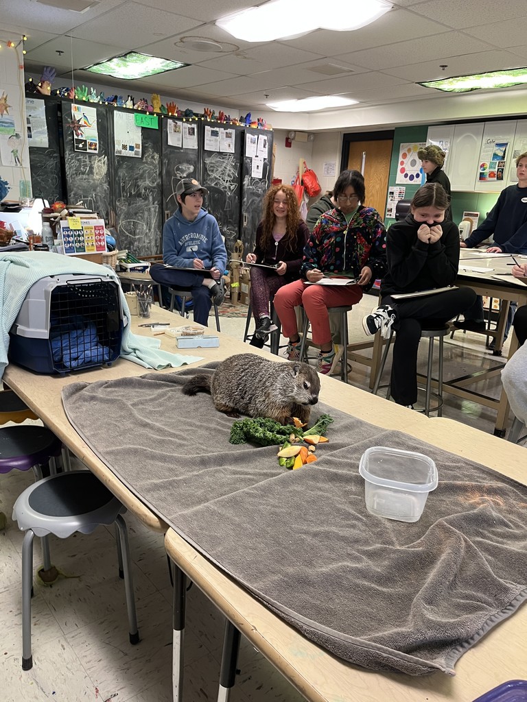 8th graders participating in a live draw session in art!