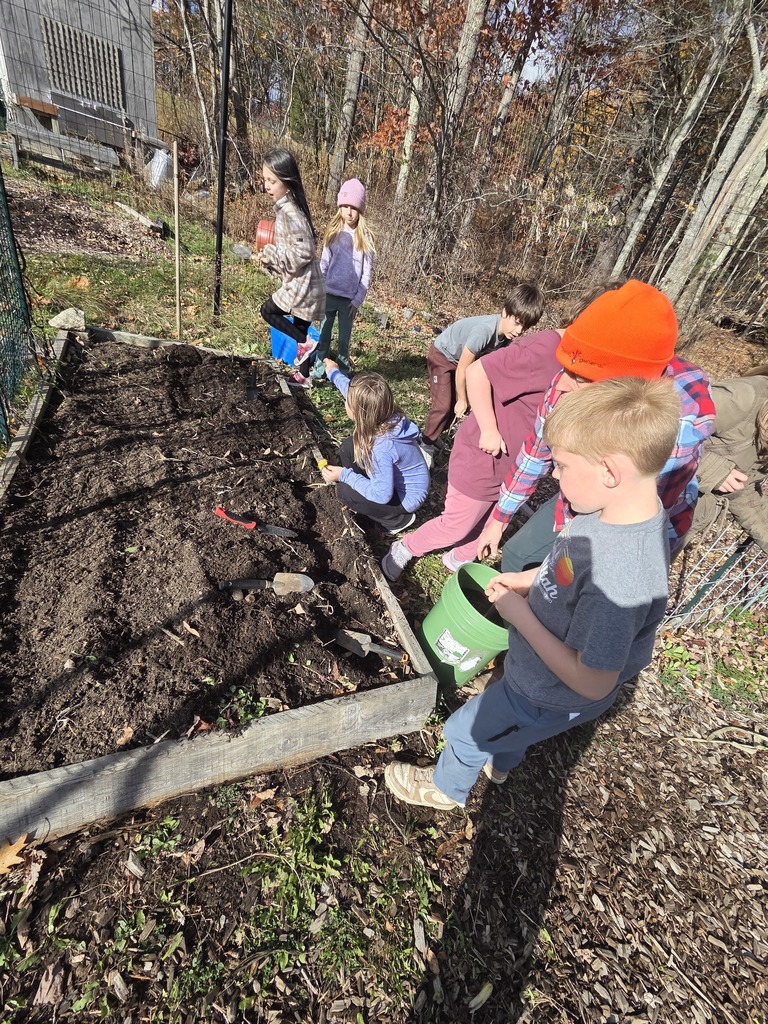 Third graders enjoy agriculture class with Ms Hedda. We planted wheat and garlic in the last few weeks.