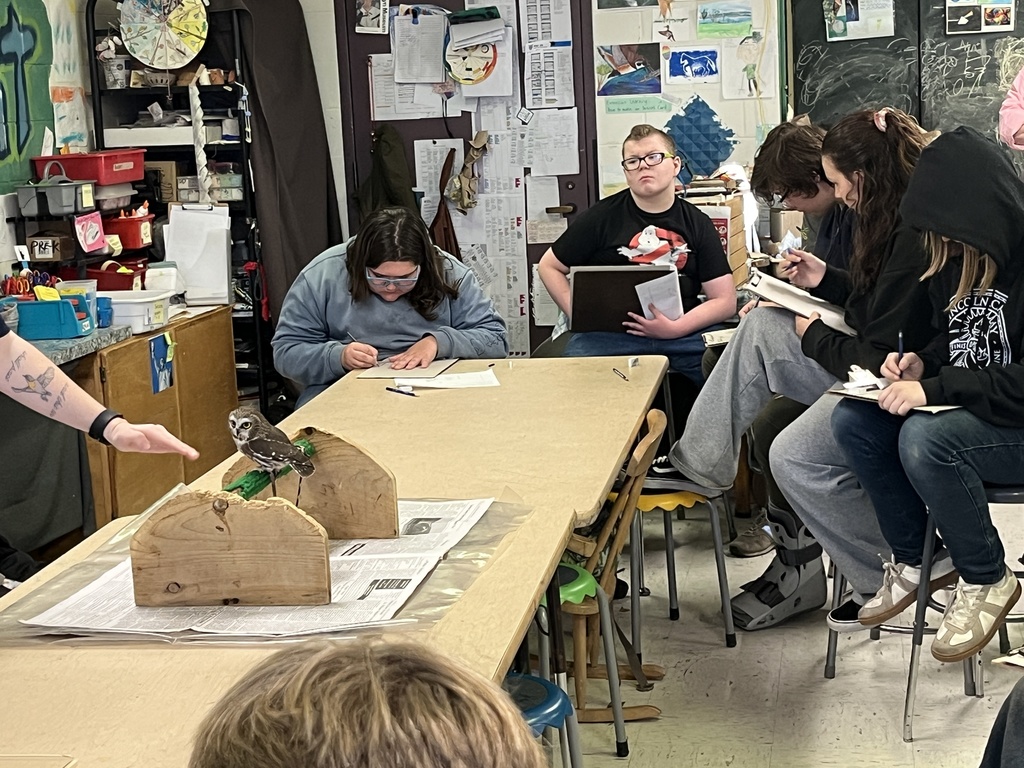 8th graders participating in a live draw session in art!