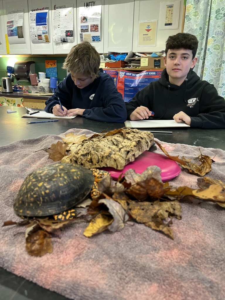 8th graders participating in a live draw session in art!