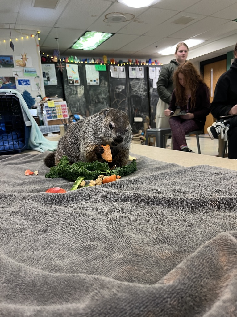 8th graders participating in a live draw session in art!