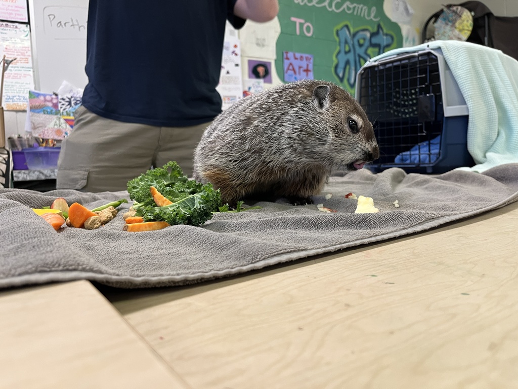 8th graders participating in a live draw session in art!