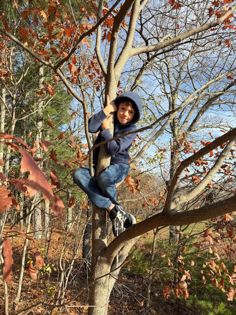 Enjoying November in 2nd grade!