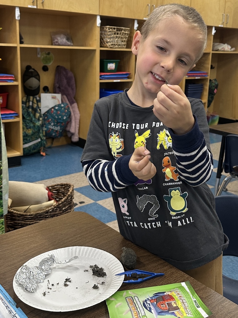Mrs. Farnsworth’s kindergarteners dissected owl pellet and found real bones inside.