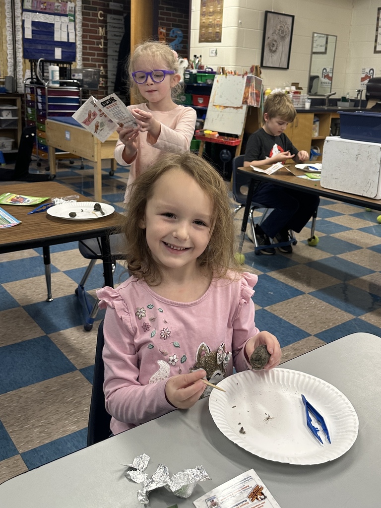 Mrs. Farnsworth’s kindergarteners dissected owl pellet and found real bones inside.