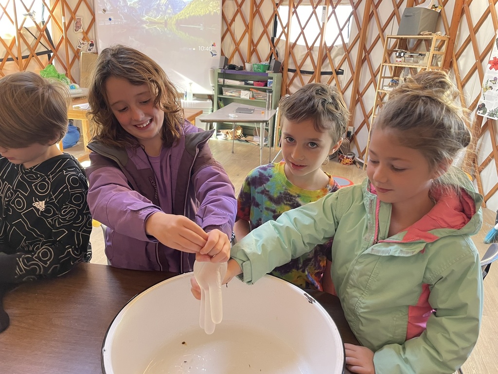 Second graders sampled different types of milk and learned how to milk a cow with Ms. Hedda!