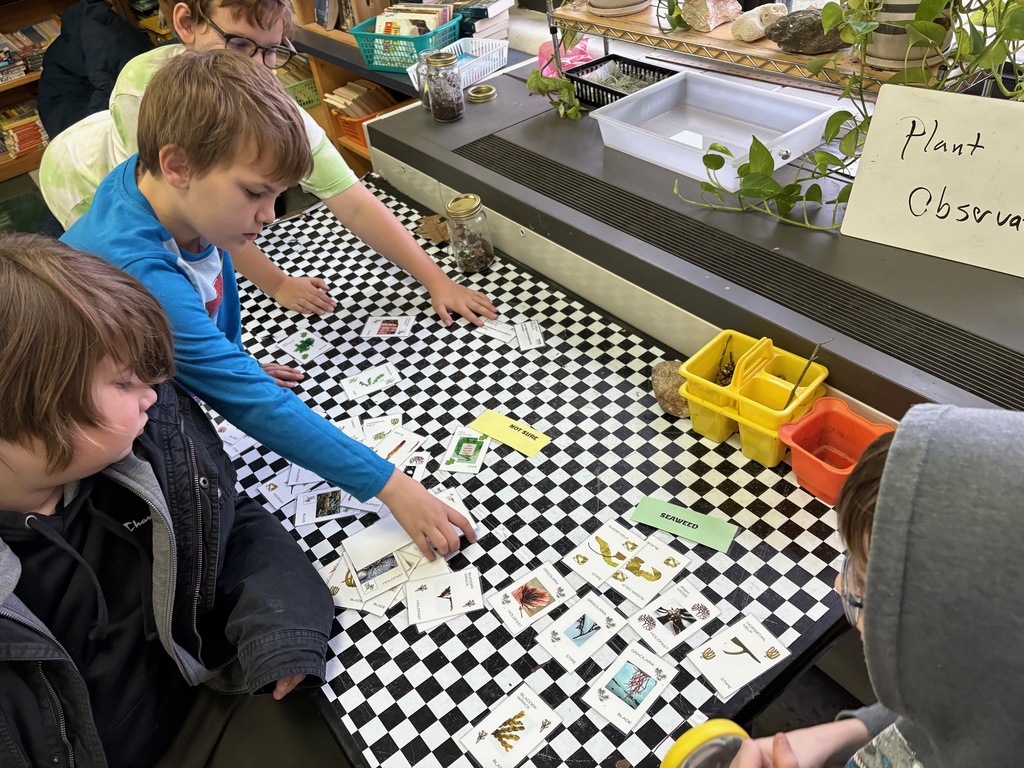 GSB 5th graders participating in a Seaweed unit with Miss Hedda!