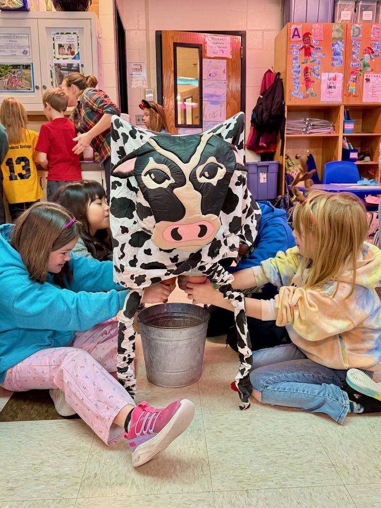What? You milked a cow in the classroom??!