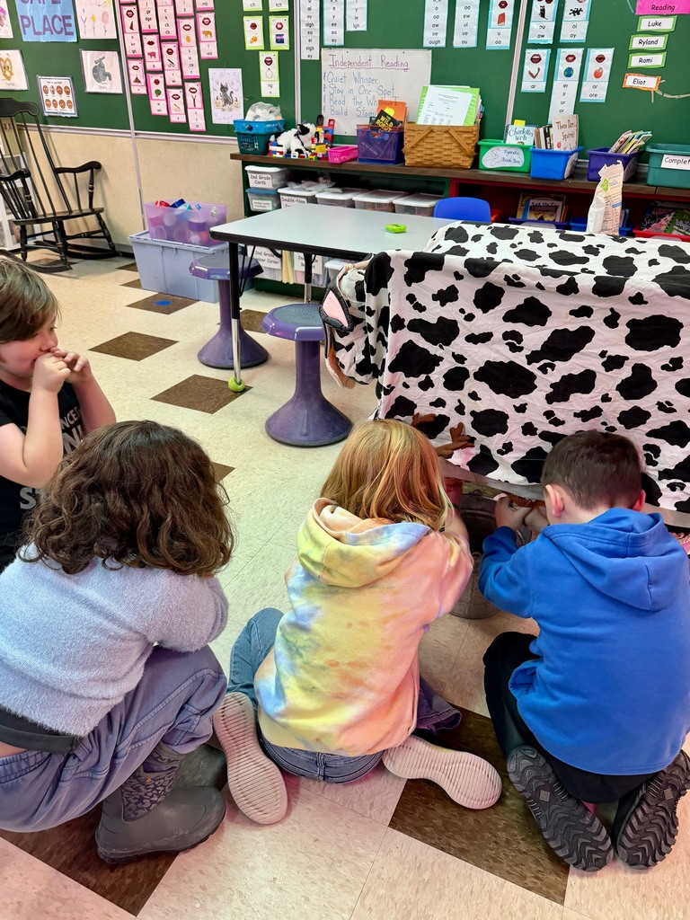 What? You milked a cow in the classroom??!