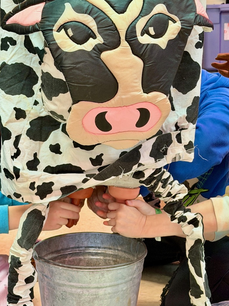 What? You milked a cow in the classroom??!