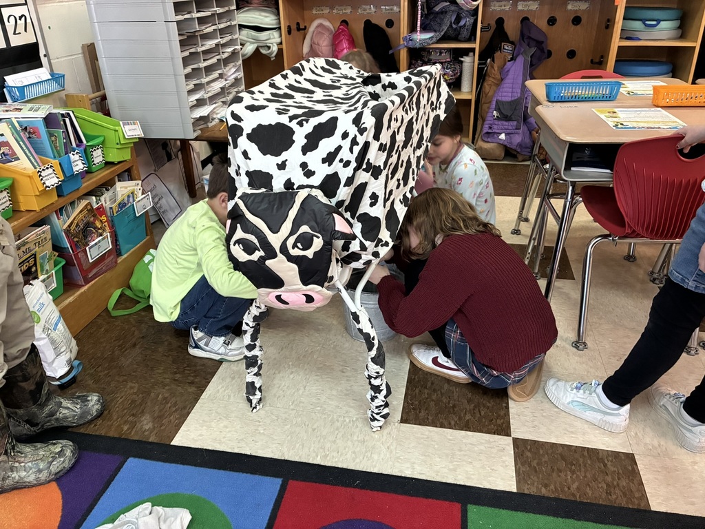 What? You milked a cow in the classroom??!