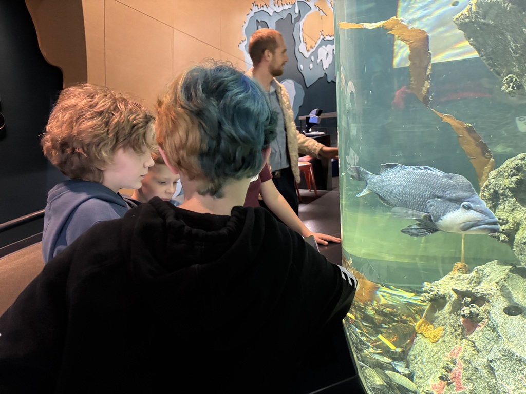 Fifth at Gulf of Maine Research Institute identifying plankton