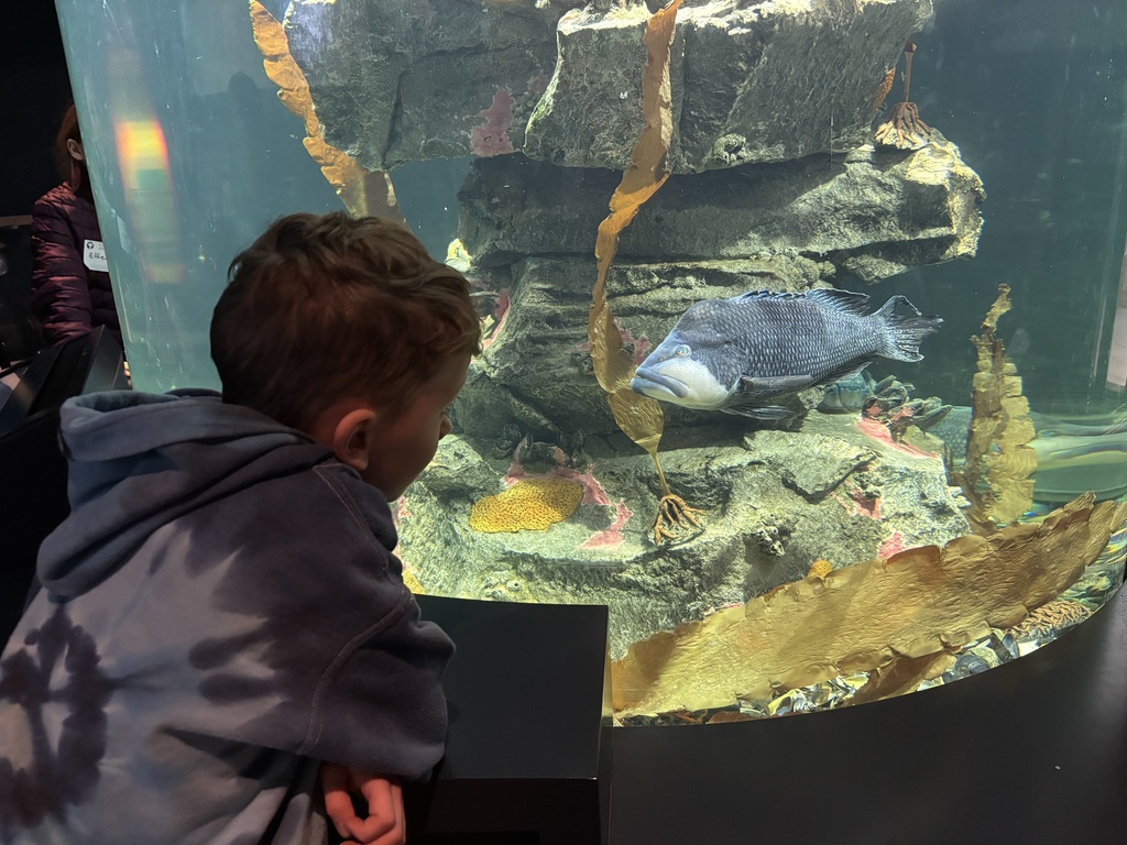 Fifth at Gulf of Maine Research Institute identifying plankton