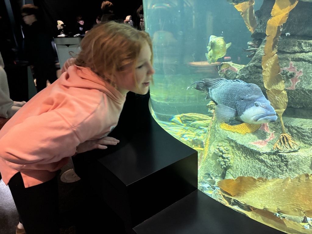 Fifth at Gulf of Maine Research Institute identifying plankton