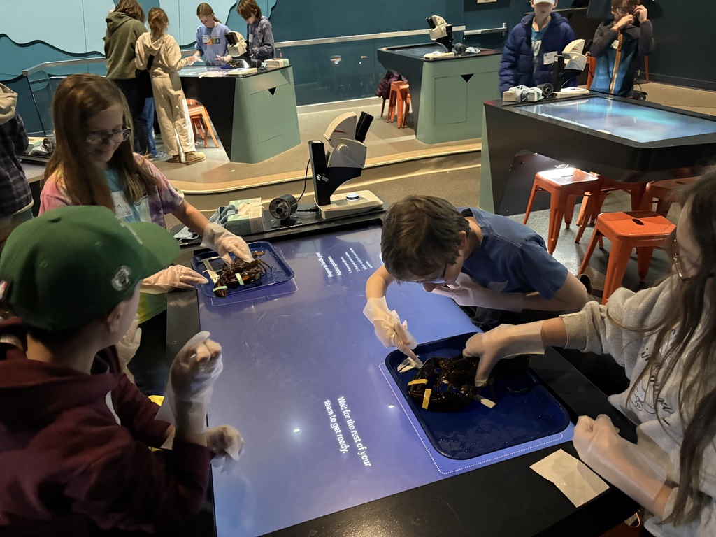 More from the 5th grade trip to Gulf of Maine Research Institute in Portland