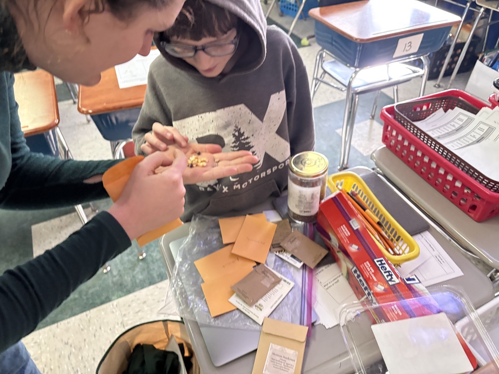 Hearty Roots cooperative game activity & a 5th grade seed conservation project.