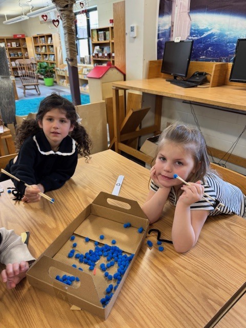 Mrs Ball's class practiced with tricky chopsticks" of their very own after reading the Chickadee Award nominated "Tricky Chopsticks" by Sylvia Chen.