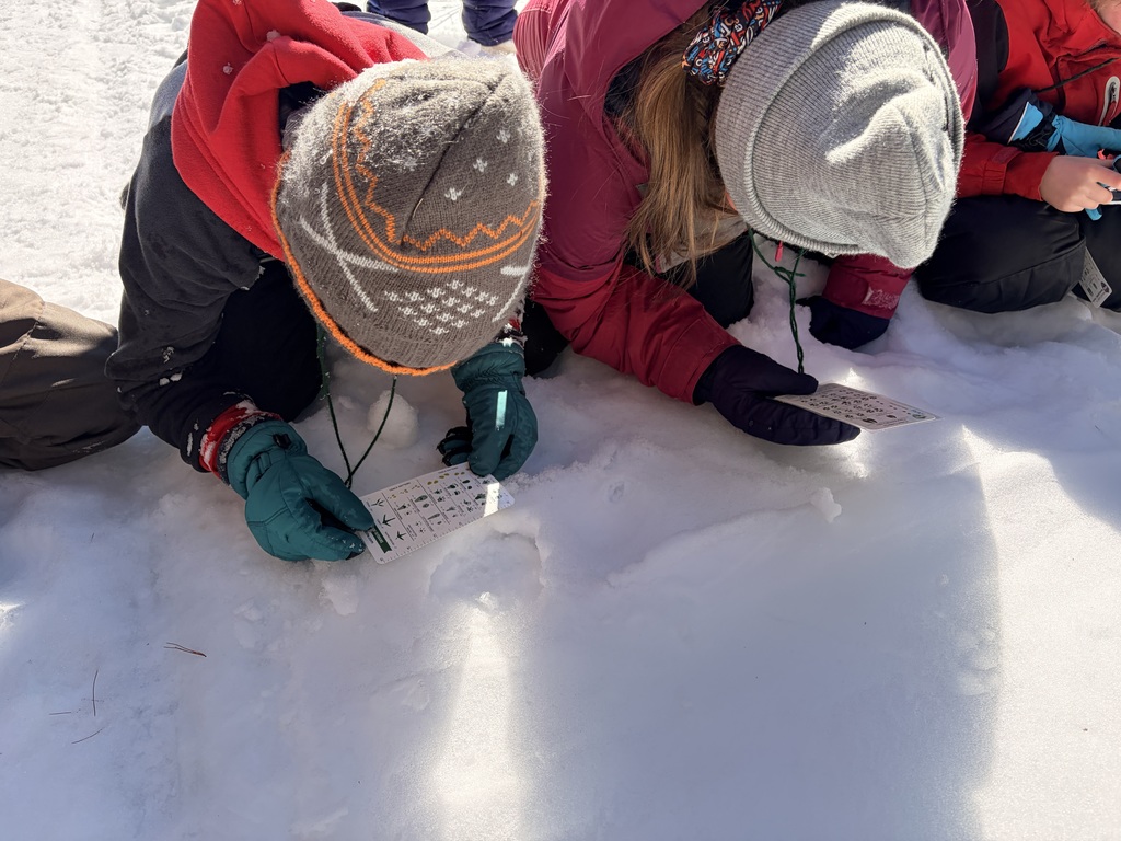 Mr. Coleman's class at HVNC having fun on kick sleds and tracking an otter through the snow.