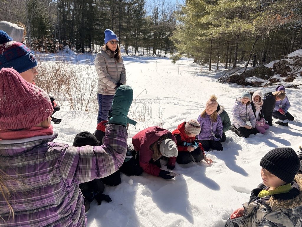 Mr. Coleman's class at HVNC having fun on kick sleds and tracking an otter through the snow.