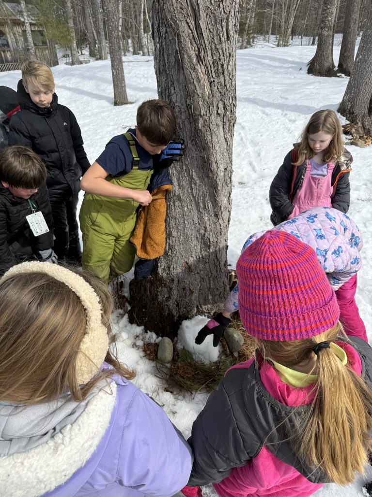 GSB 4th graders go to Hidden Valley Nature Center!