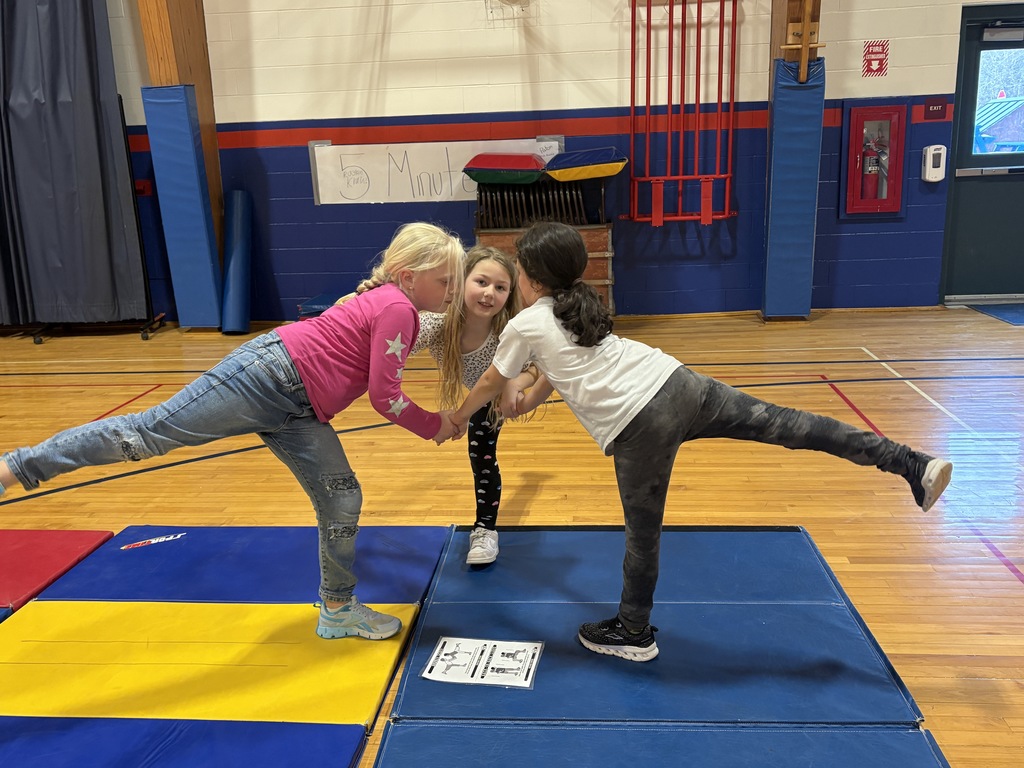 2nd grade has started their tumbling unit in PE! We started off with Partner balance activities and we’ve been having a LOT of fun!