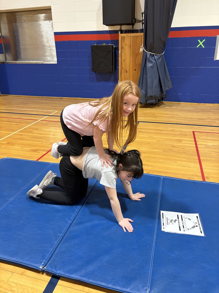 2nd grade has started their tumbling unit in PE! We started off with Partner balance activities and we’ve been having a LOT of fun!