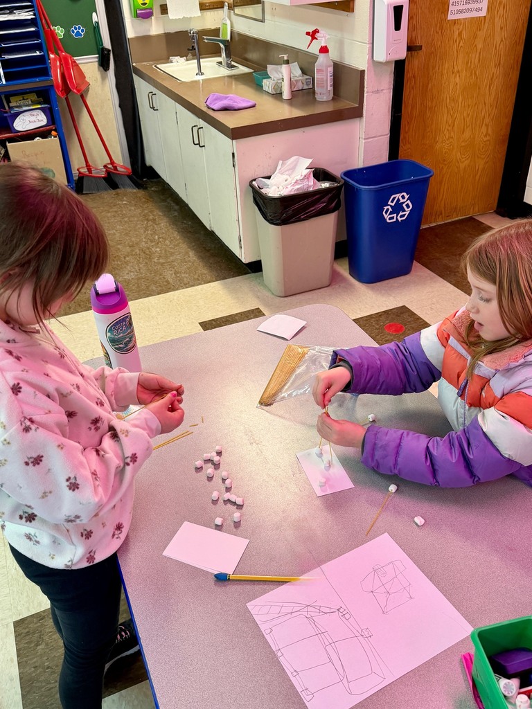Mrs. Flewelling’s 2nd grade working on a science tower challenge!
