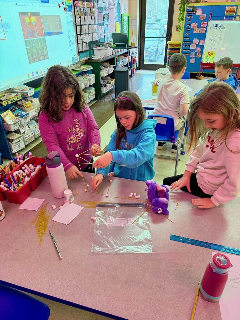 Mrs. Flewelling’s 2nd grade working on a science tower challenge!