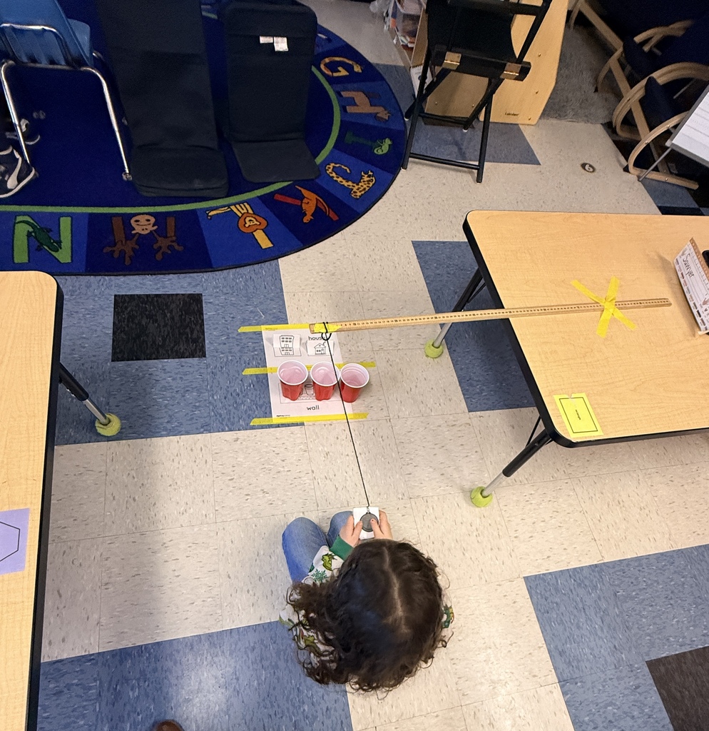 Kindergarten learning about pushes and pulls. Their challenge was to swing the paper wrecking ball and knock over the solo cup wall without hitting the paper houses.