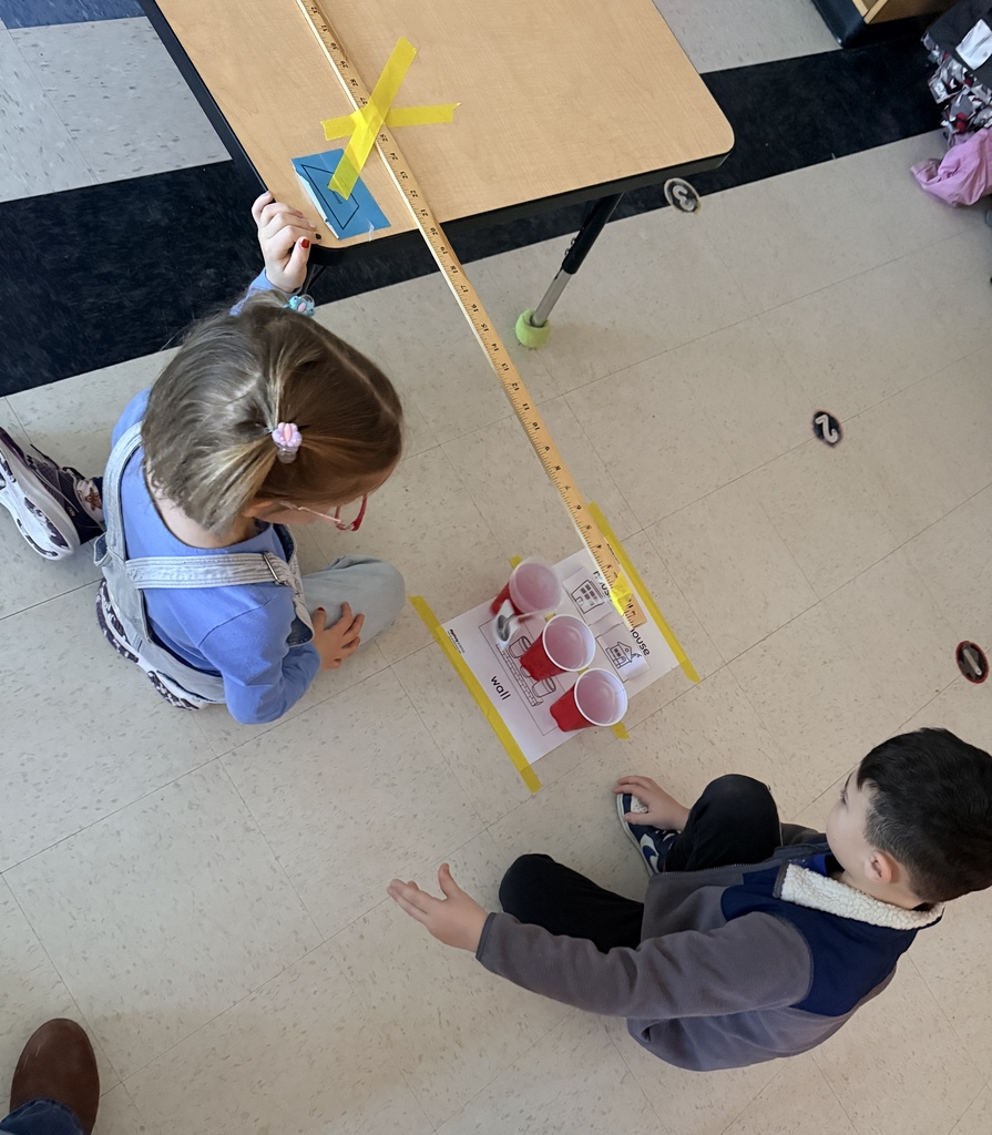 Kindergarten learning about pushes and pulls. Their challenge was to swing the paper wrecking ball and knock over the solo cup wall without hitting the paper houses.