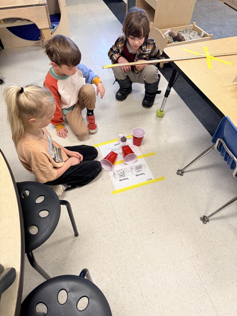 Kindergarten learning about pushes and pulls.  Their challenge was to swing the paper wrecking ball and knock over the solo cup wall without hitting the paper houses. 