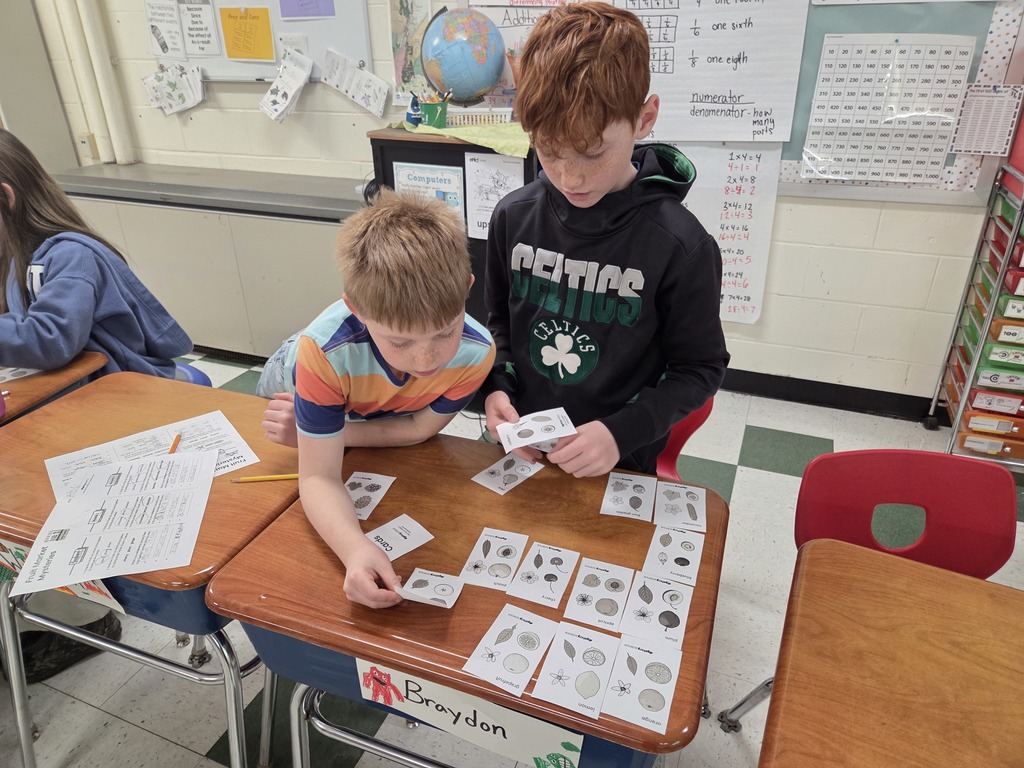 Third graders enjoyed a science lesson by organizing fruits by their traits. They were also surprised to learn that plants have parents!
