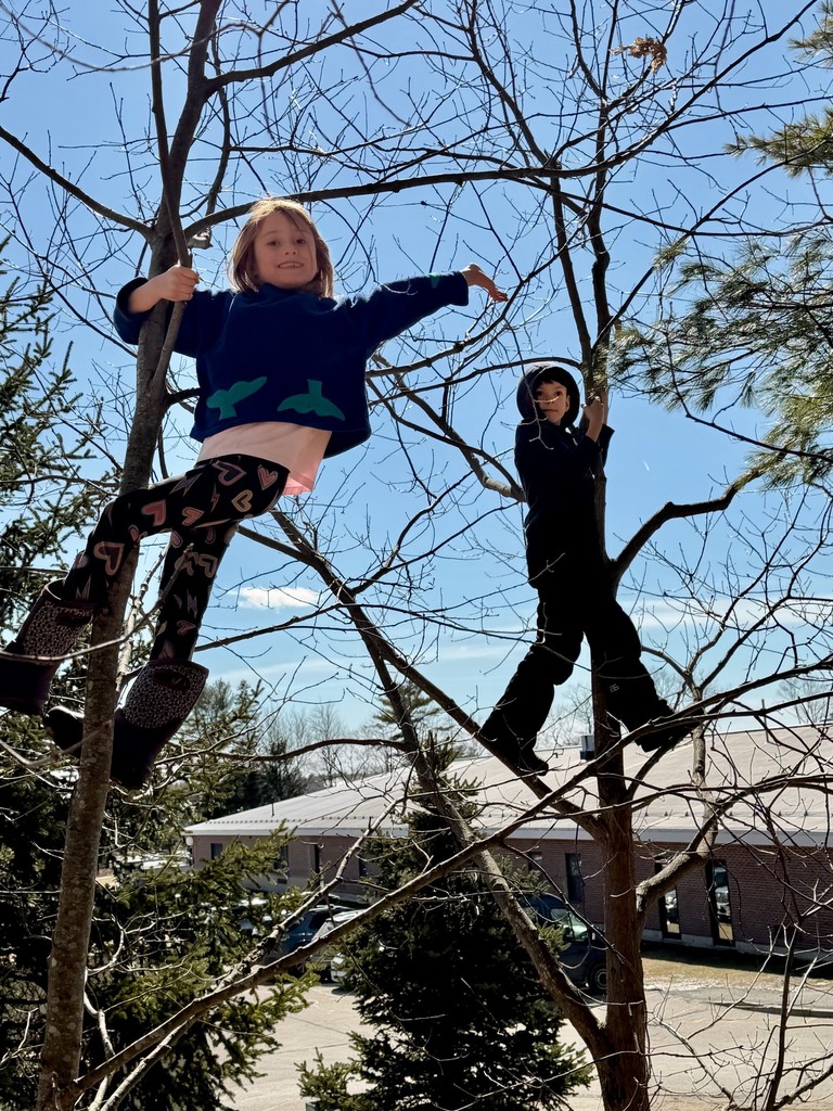 2nd graders always finding ways to have fun in the woods!