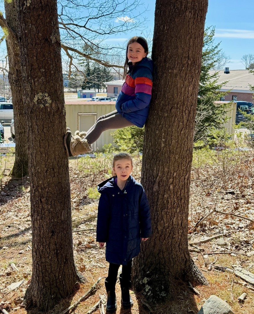 2nd graders always finding ways to have fun in the woods!