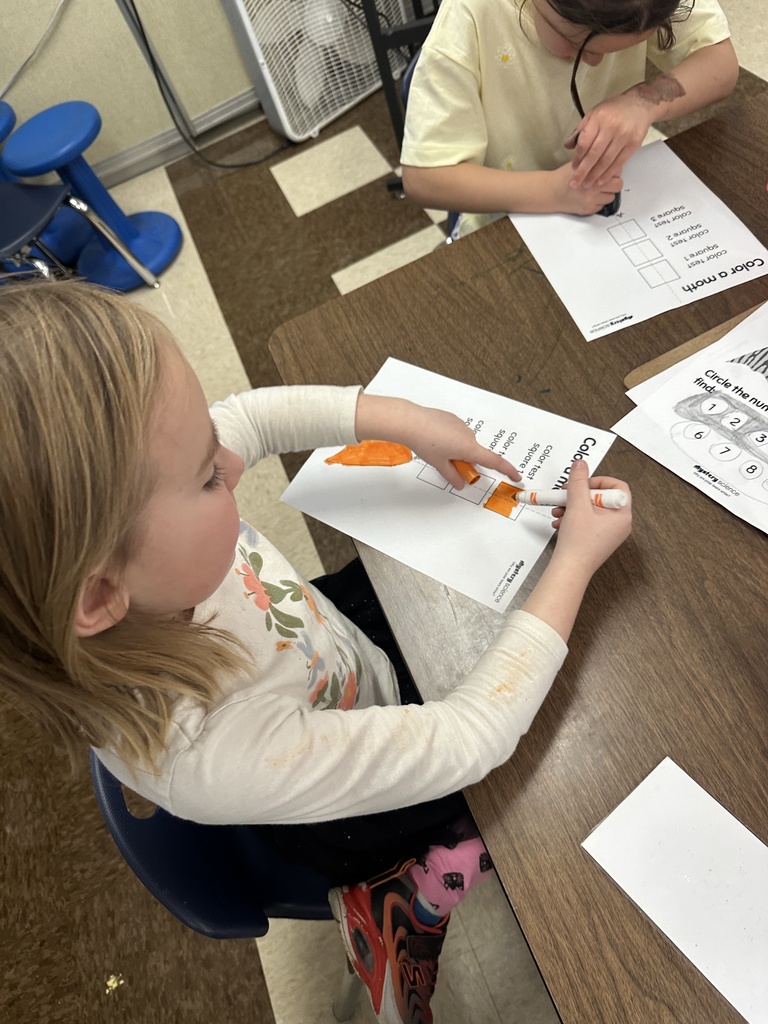 During our Animal Adaptions unit in Science, Mrs. Welch’s Class had so much fun searching for moths that were camouflaged amongst the trees.