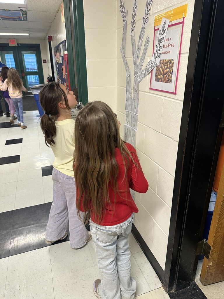 During our Animal Adaptions unit in Science, Mrs. Welch’s Class had so much fun searching for moths that were camouflaged amongst the trees.