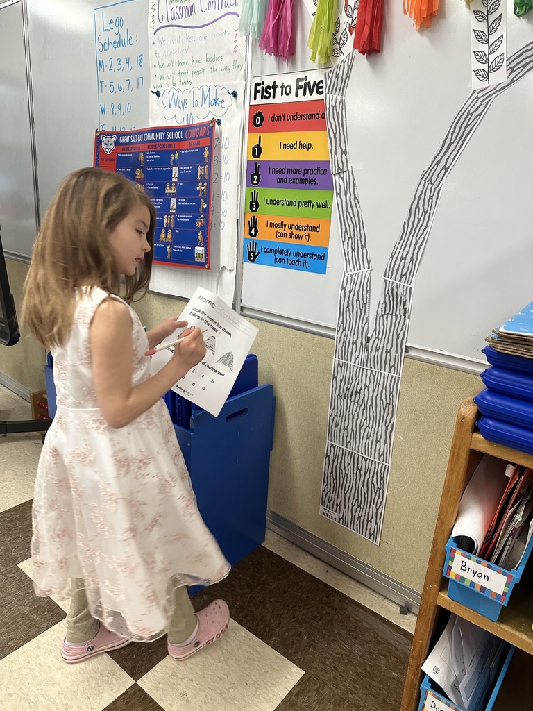 During our Animal Adaptions unit in Science, Mrs. Welch’s Class had so much fun searching for moths that were camouflaged amongst the trees.