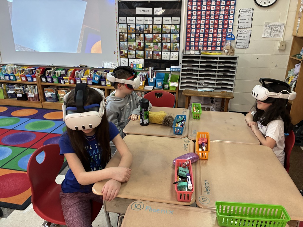 Second graders took a VR tour of Africa after studying the continent!