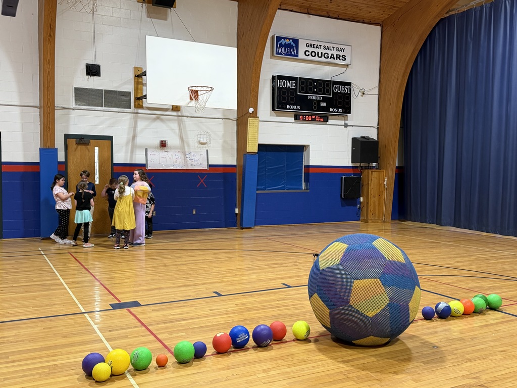 Strategy circles, accurate over hand throwing and the giant ball always make for a fun time in PE for third grade!