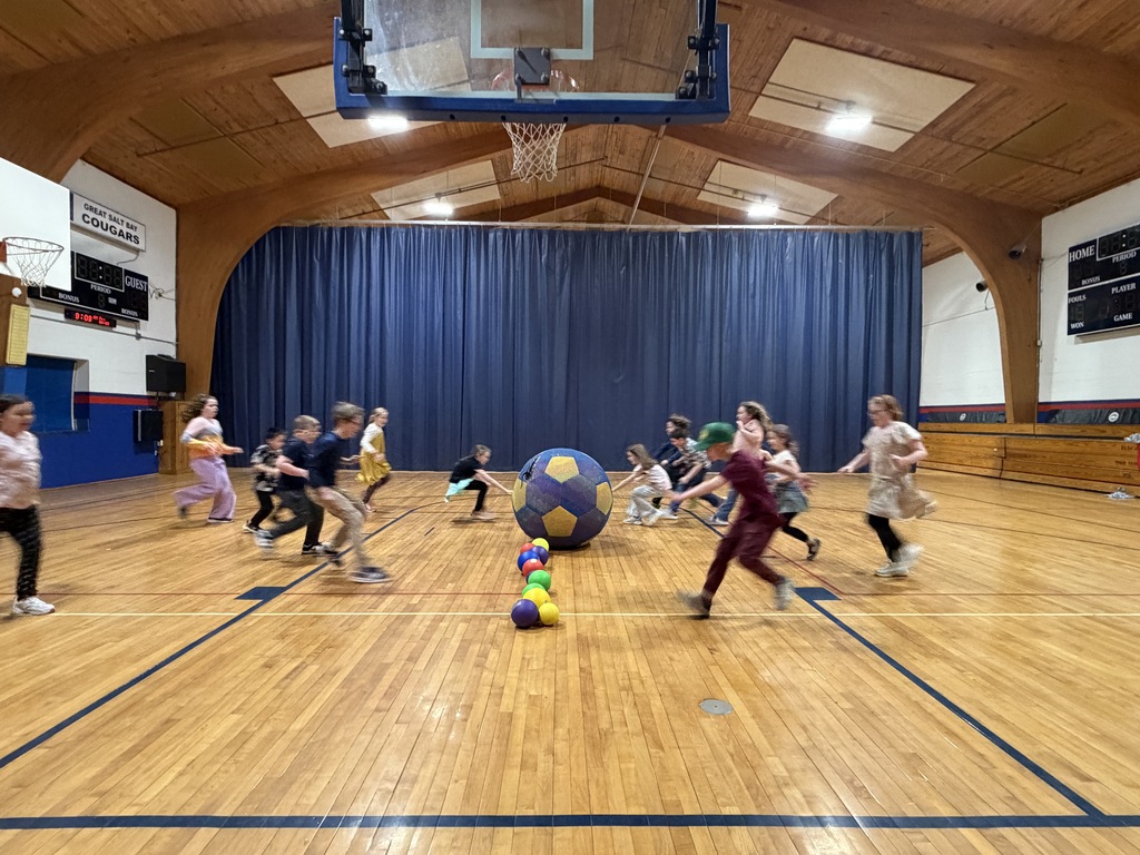 Strategy circles, accurate over hand throwing and the giant ball always make for a fun time in PE for third grade!