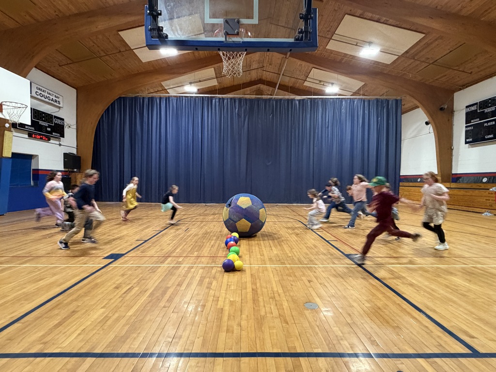 Strategy circles, accurate over hand throwing and the giant ball always make for a fun time in PE for third grade!
