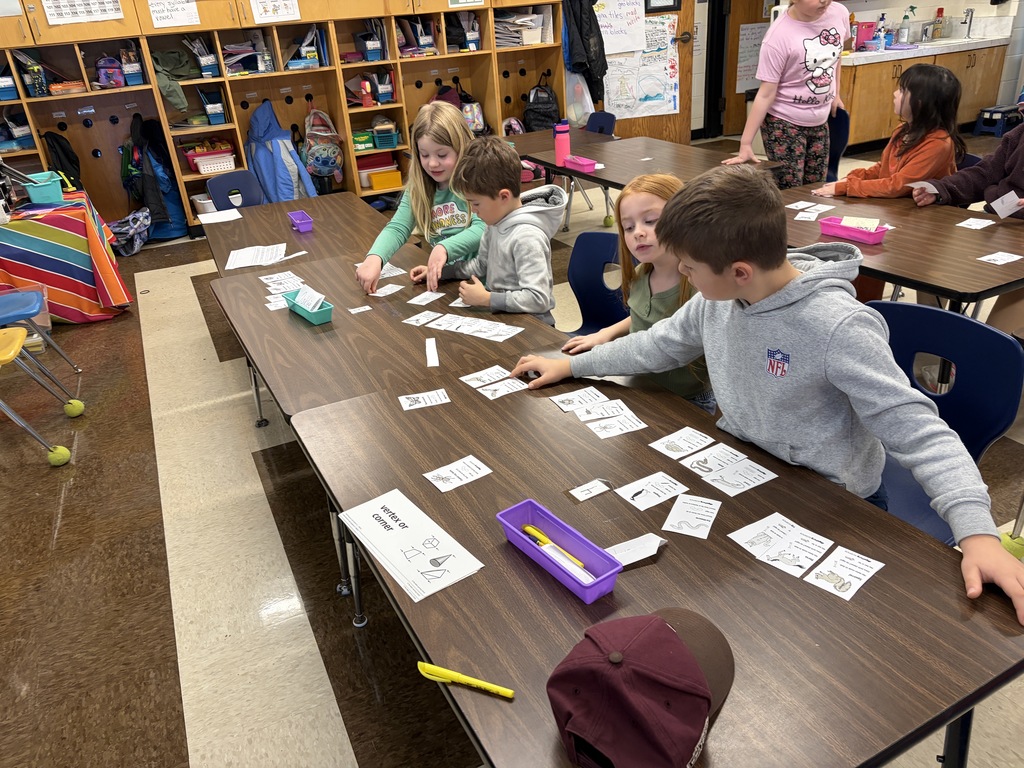 Second graders in Mrs. Michaud’s class studied animal traits. They used these traits to sort animal cards into mammals, birds, reptiles, and invertebrates.