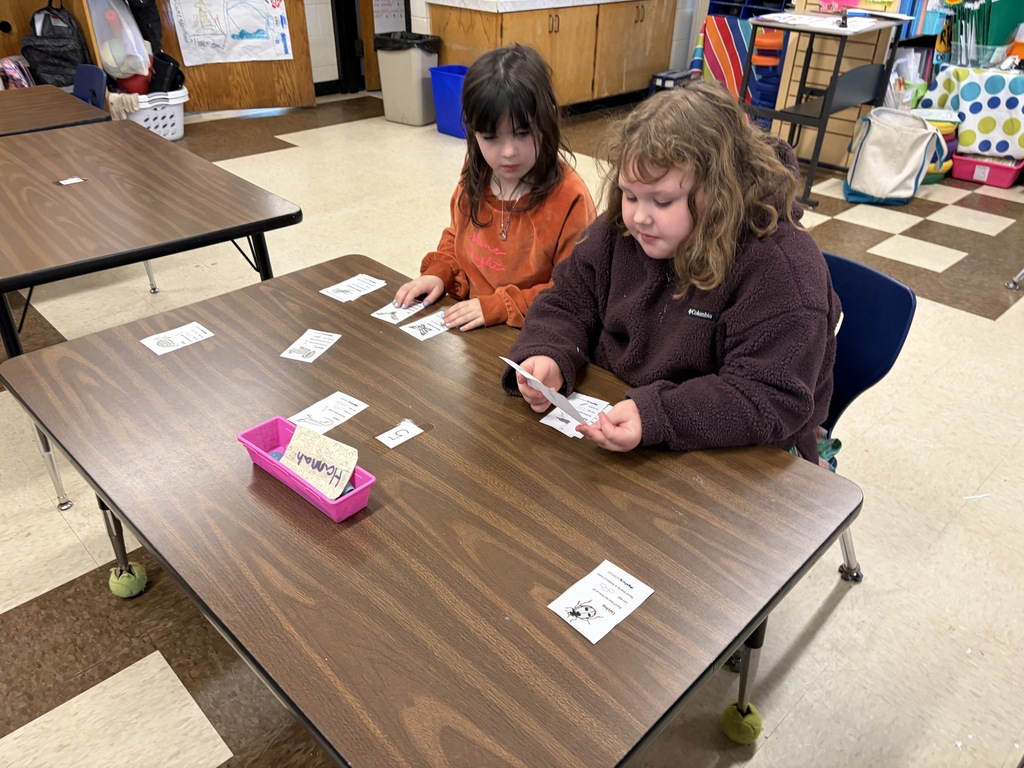 Second graders in Mrs. Michaud’s class studied animal traits. They used these traits to sort animal cards into mammals, birds, reptiles, and invertebrates.
