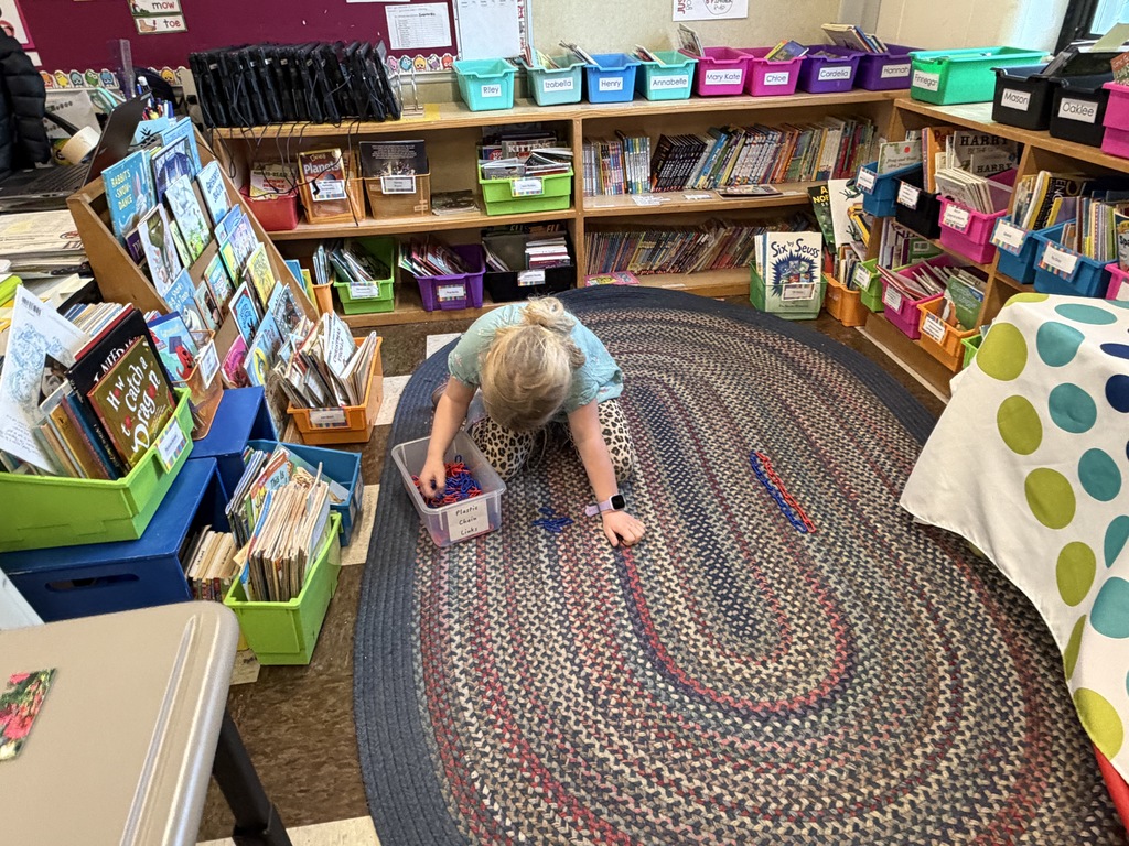 Mrs. Michaud’s students worked together to create a chain with 1000 links.