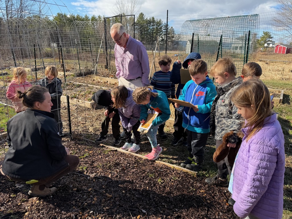 First graders are back in the greenhouse and garden with Ms. Hedda! They had a fun game of “Springo”