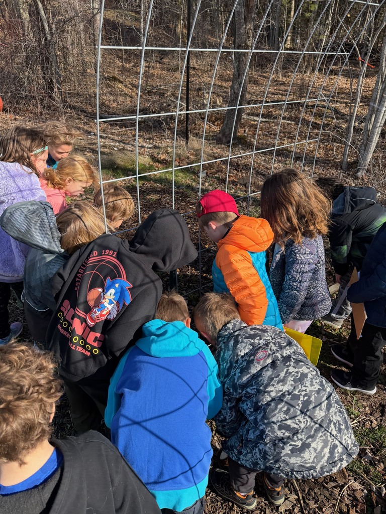 First graders are back in the greenhouse and garden with Ms. Hedda! They had a fun game of “Springo”