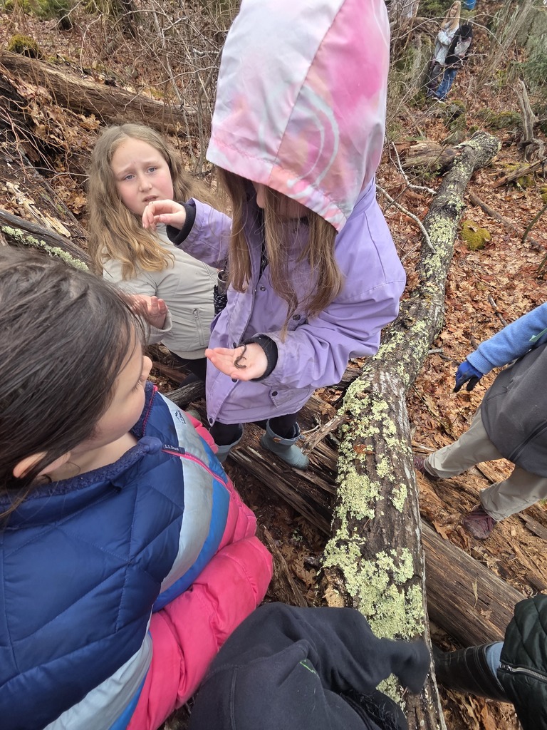 Third grade headed down to Tracy Shore in South Bristol to explore a vernal pool and nature hike with Sarah from Coastal Rivers Conservation Trust.