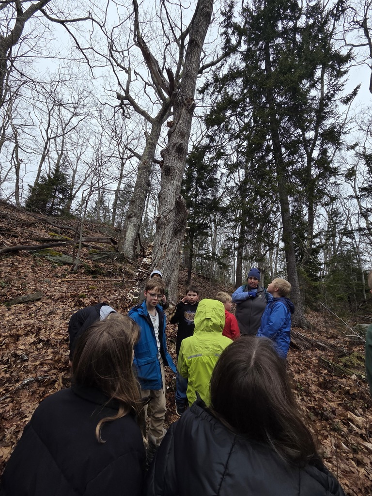 Third grade headed down to Tracy Shore in South Bristol to explore a vernal pool and nature hike with Sarah from Coastal Rivers Conservation Trust.