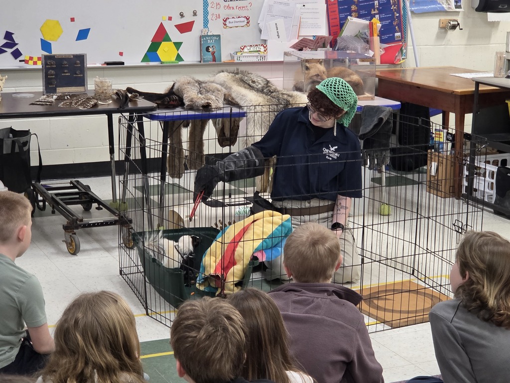 Chewonki visited our GSB third grade classrooms to teach us about predators and prey. 